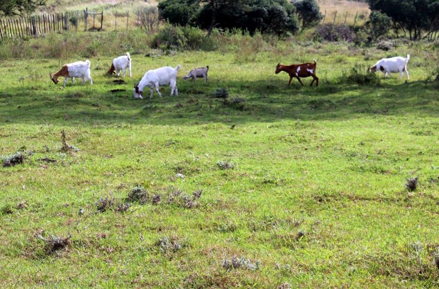 Commercial Property for Sale in Kei Mouth Eastern Cape